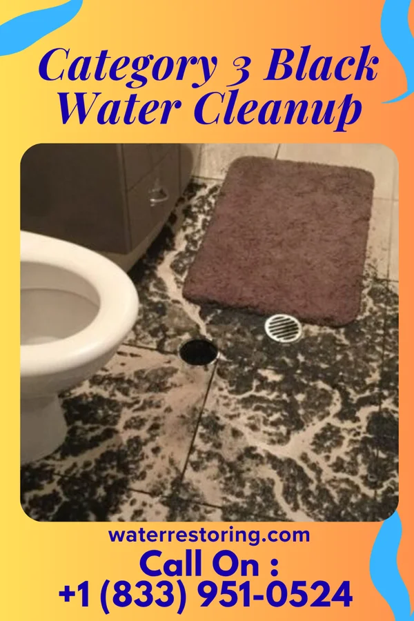 Category 3 Black Water Cleanup in Columbus, IL