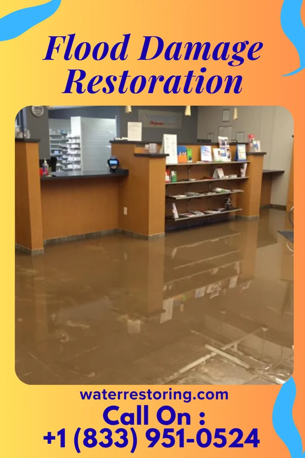 Flood Damage Restoration in Columbus, IL